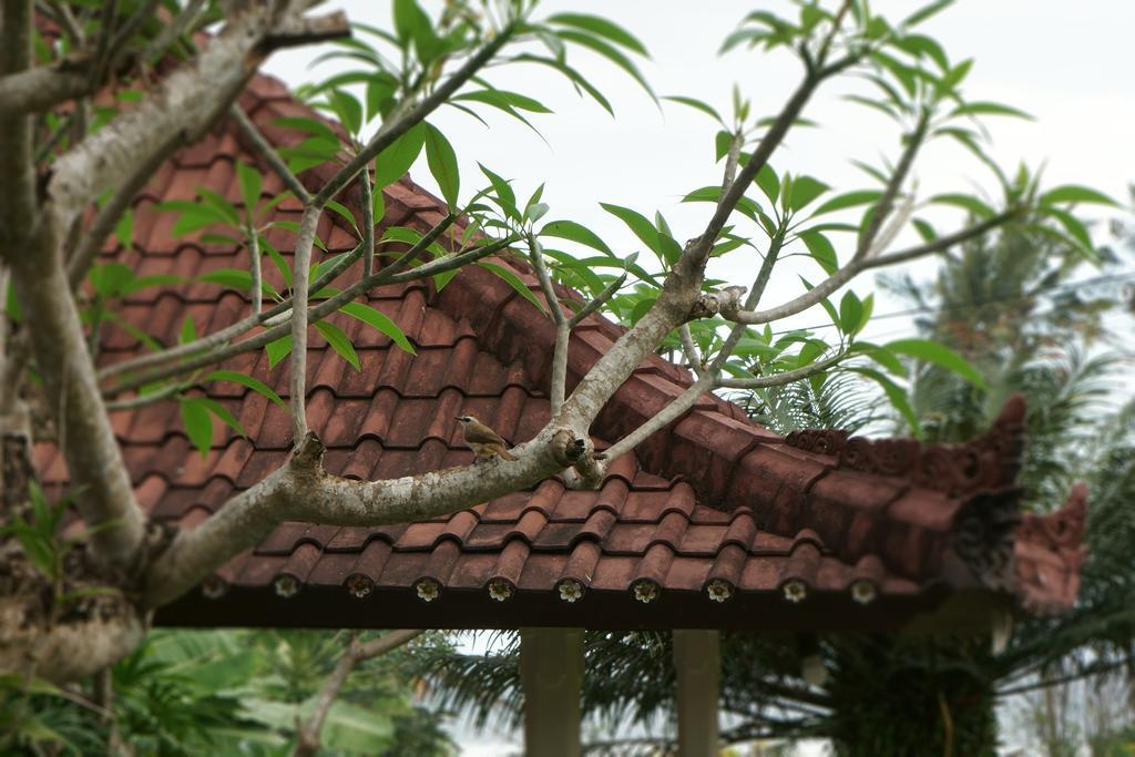 Appartamento Puri Angsa Saba Keramas Esterno foto